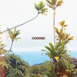 Cosmic