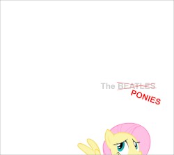The Blank Album