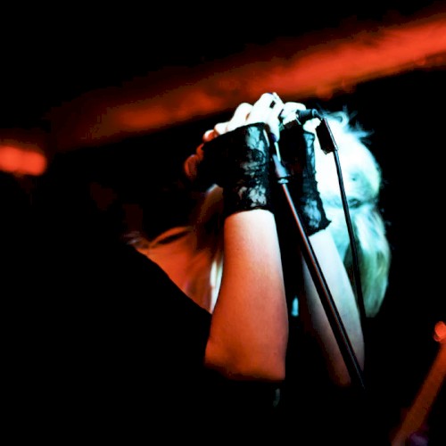 Goodbye Horses