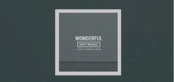 Wonderful