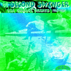 USA Garage Greats 1965-1967: Vol. 24: 60 Second Swinger