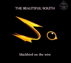 Blackbird on the Wire