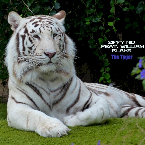 The Tyger