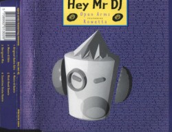 Hey Mr DJ