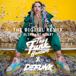 The Digital (The Funk Hunters + Defunk remix)