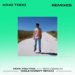 How You Feel (Cole Knight Remix)