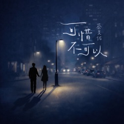 可惜不可以