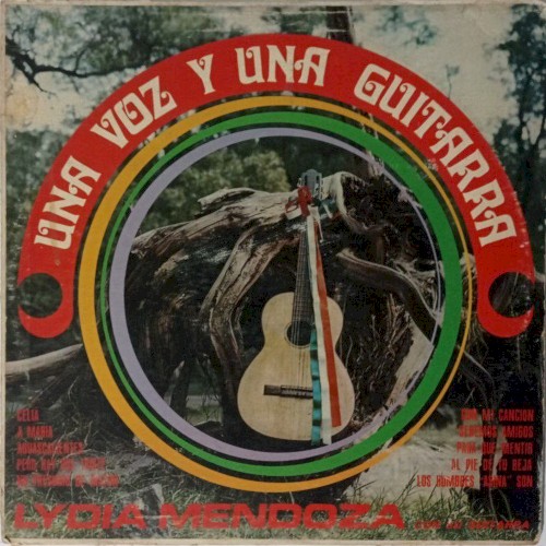 Una voz y una guitarra