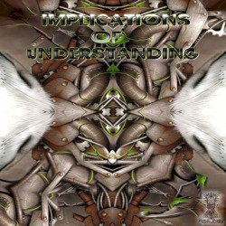 Implications of Understanding