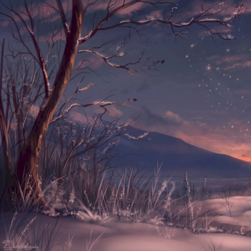 Luna's Future