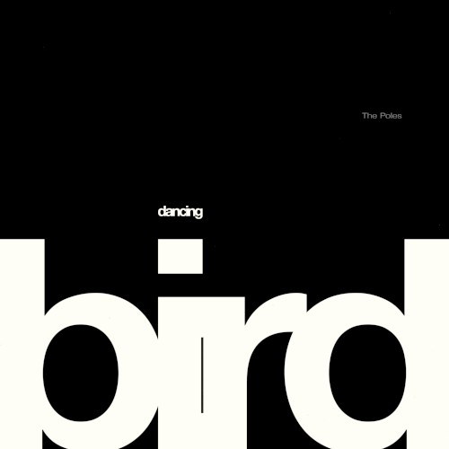 Dancing Bird
