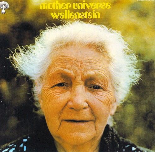 Mother Universe