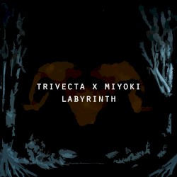 Labyrinth