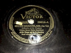 Mister Meadowlark / My Fantasy