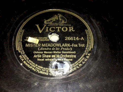 Mister Meadowlark / My Fantasy