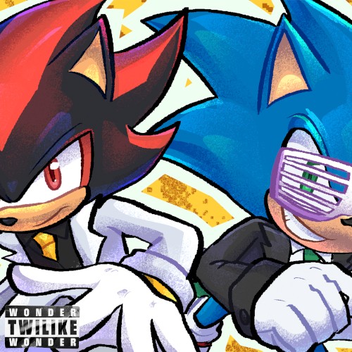 Check (Sonic × Shadow Cover)