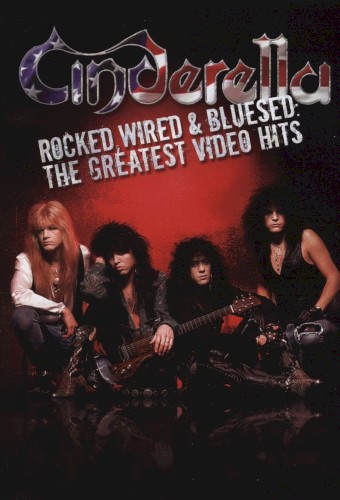 Rocked, Wired & Bluesed: The Greatest Video Hits