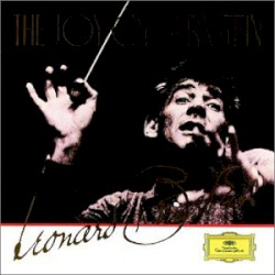 The Joy of Bernstein