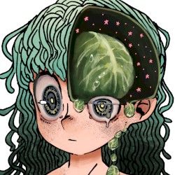 Cabbage head