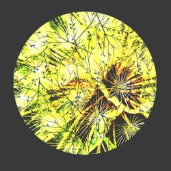 Archives Vol.1