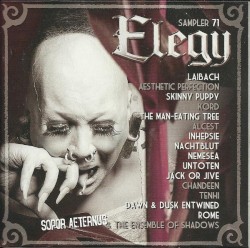 Elegy Sampler 71