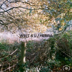 Wait 4 U / Hebra