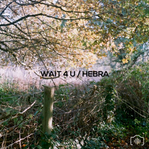 Wait 4 U / Hebra