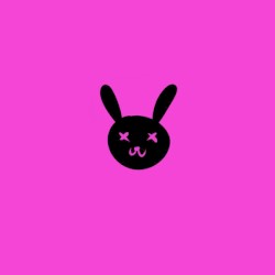 Rabbit Hole