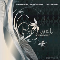 Silver Flower