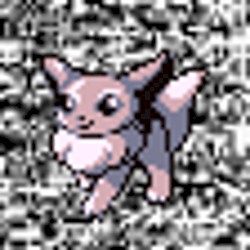 #133 ~ Eevee