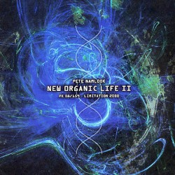 Namlook XVII: New Organic Life II