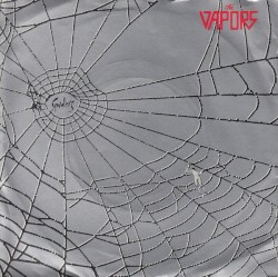 Spiders