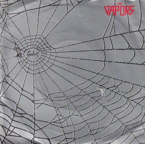 Spiders