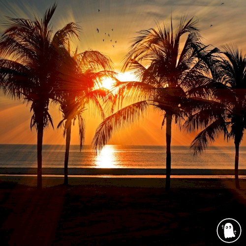 Dreaming of Somewhere Tropical