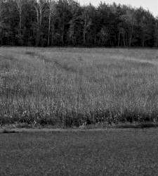 A Country Drive