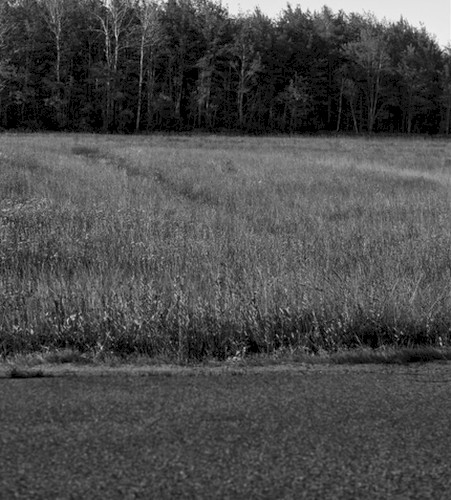 A Country Drive