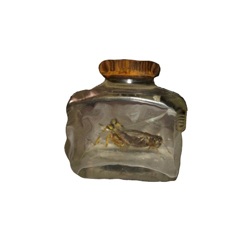 Claustrophobigrasshopper