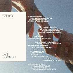 Calyer