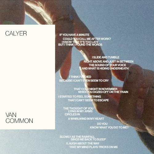 Calyer