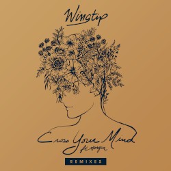 Cross Your Mind (remixes)