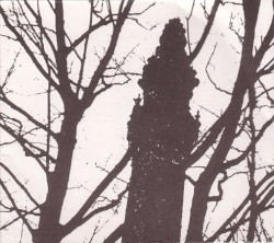 A Murder in the Company of the Vespertine