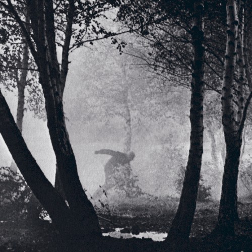 Dawn of the Bloody Tapes