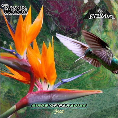 Birds of Paradise