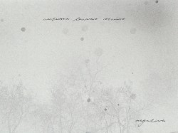 Negative
