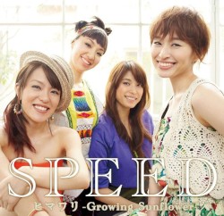ヒマワリ-Growing Sunflower-