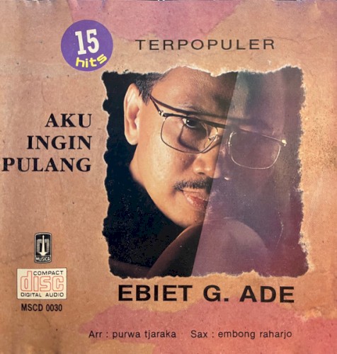 Aku Ingin Pulang