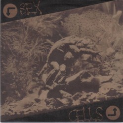 Sex Cells