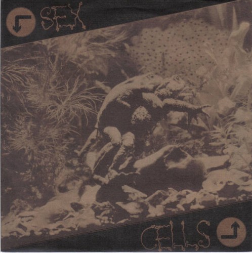Sex Cells
