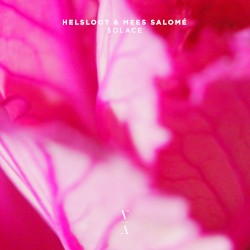 Solace