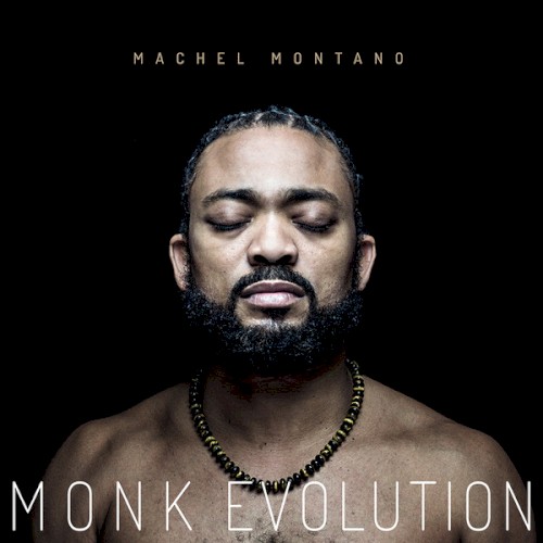 Monk Evolution